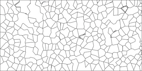 Obraz premium Abstract polygonal structure geometric composition featuring irregular contours for design elements and backgrounds in black and white