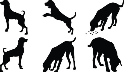 Dog Exploring Outdoors