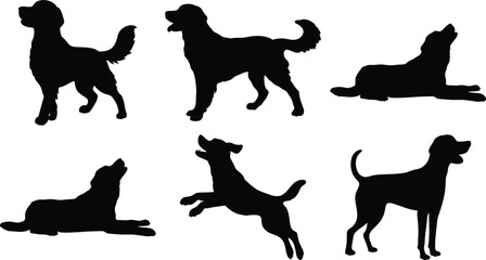 Dog Running in Action