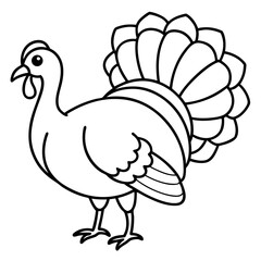 Minimalist Turkey Line Art 
