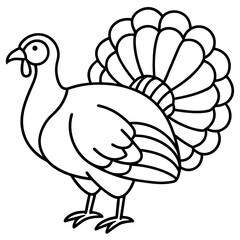 Minimalist Turkey Line Art 