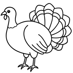 Minimalist Turkey Line Art 