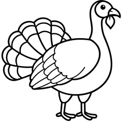 Minimalist Turkey Line Art 