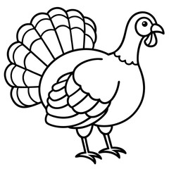 Minimalist Turkey Line Art 