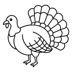 Minimalist Turkey Line Art 