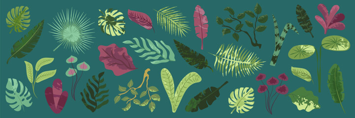 Collection of exotic tropical leaves. Hawaiian plants set. Vector elements isolated on a white background. Realistic botanical illustration in a modern flat style 