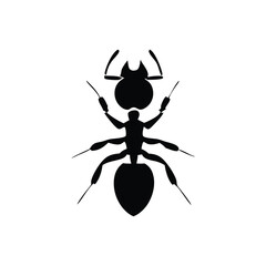Ant Silhouette – Insect Outline in Minimalist Style on White Background
