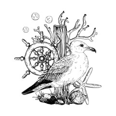 Black and white vector illustration. A seagull perched by a weathered post with a starfish, ship wheel, coral, and bubbles around it. Hand drawn composition. Sketch in line art style isolated on white