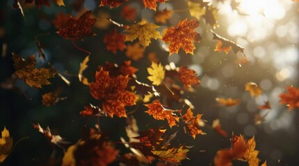 Cinematic slow-motion video of colorful autumn leaves spinning and floating gracefully in the air, illuminated by a warm backlight.

 - Powered by Adobe