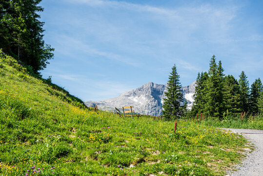 Wandergebiet, Hochtannberg, Warth, Vorarlberg