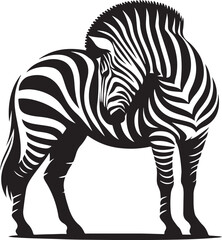 Fototapeta premium A silhouette zebra vector