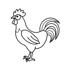 rooster isolated on white background