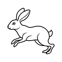 vector illustration of a rabbit