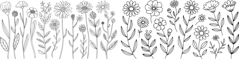 Hand drawn black and white floral elements collection for design