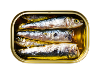 Open tin can of sardines packed in oil, isolated on a clean white background, top view,