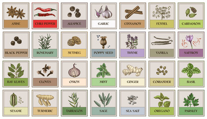Stickers for kitchen with herbs and spices