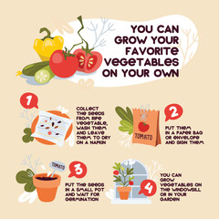 Illustration infographic growing vegetables. A safe and eco-friendly way to live a conscious lifestyle.
