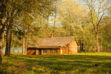 An abandoned red brick house stands quietly in a forest clearing, surrounded by blooming spring trees and wild dandelions.
