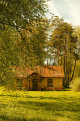 A small, abandoned brick house stands in a sunlit forest meadow. Surrounded by fresh spring foliage and tall pine trees.