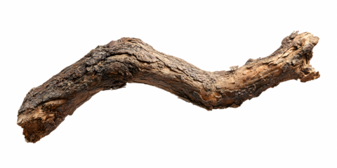 Weathered branch shows its textures, patterns, and bends against a transparent background