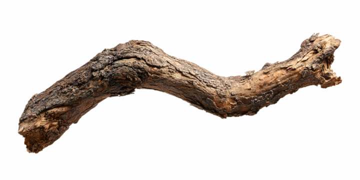 Weathered branch shows its textures, patterns, and bends against a transparent background