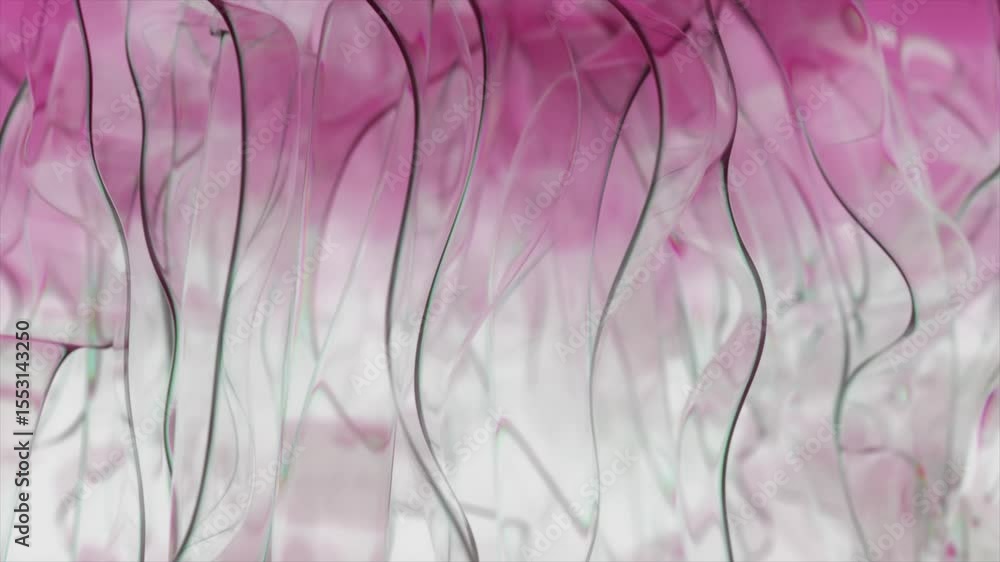 Poster smooth pink and green gradient lines flow and undulate gracefully against a clean white background, 