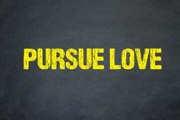 Pursue Love	
