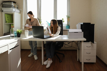 Businesswomen discussing paperwork next to a laptop in a sunlit office, surrounded by minimalist...