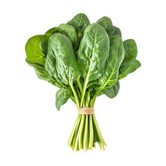Fresh Spinach Vibrant Green Leafy Vegetable Healthy Eating On Transparent Background