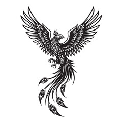 Fototapeta premium Elegant vintage art silhouette of a majestic mythical phoenix with wings outspread and intricate feather detailing