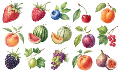 Watercolor Summer Fruit Clipart Collection