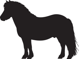 American Shetland Pony in silhouette vector pure white background.