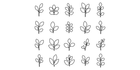 Leaf Icon Set. Botanical Silhouettes and Plant Symbols Collection