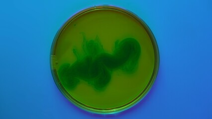 Colorful Green Swirl in a Petri Dish Experiment