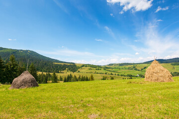 rural landscape in summer. wonderful sunny weather. countryside scenery with haystack on the field beneath a blue sky with clouds. carpathian village in the distance