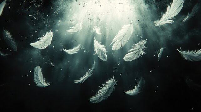Soft white feathers gently floating and falling through a dark, misty underwater environment illuminated by ethereal light from above