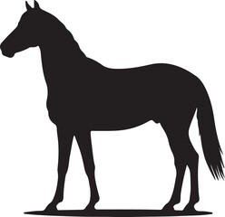  Bosnian Mountain Horse in silhouette vector pure white background.