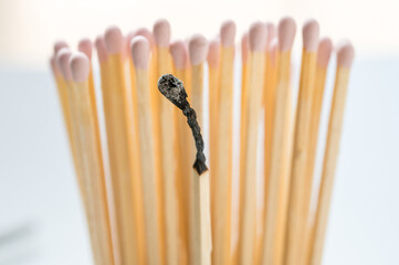 Group of pink matches and one burned match, burnout abstract concept