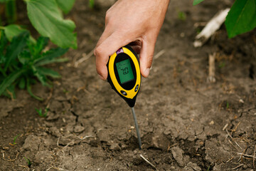 Close-up of a male hand holding a soil testing instrument inserted into the ground, displaying...