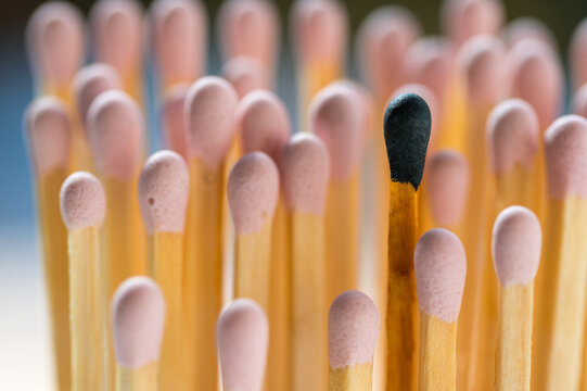 Group of pink matches and one black match. Diversity, inclusion abstract concept