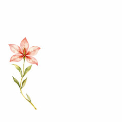 Obraz premium Pink lily flower illustration with green leaves on white background 