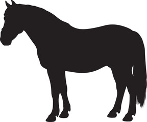 Budyonny horse in silhouette vector pure white background.