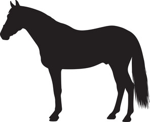  Burguete horsein silhouette vector pure white background good.