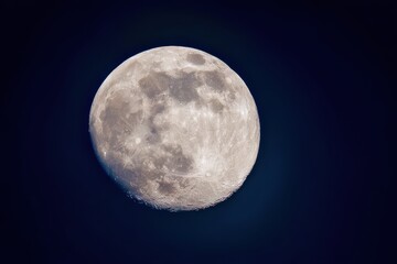 Obraz premium Detailed Full Moon View Against a Dark Blue Night Sky, Lunar Surface Features
