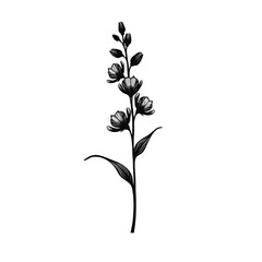 Obraz premium Black Silhouette Snapdragon Flower Vector with Vertical Stalk and Small Symmetrical Blooms on White Background Full HD