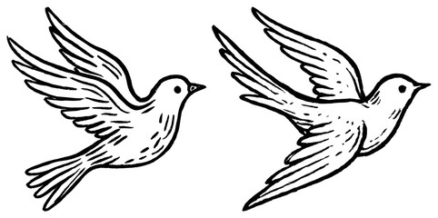 Obraz premium PNG Two black and white line art birds in flight element set on transparent background.