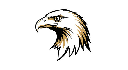 Majestic Eagle Head Vector Illustration with Golden and Black Feathers