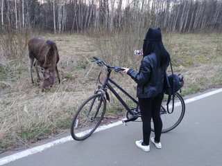 Woman is taking a picture of a deer elk with her cell phone. She is standing next to a bicycle