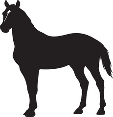 Creat vctor full black image of Budyonny horse in silhouette vector pure white.