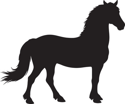Heihe horse in silhouette pure white background.